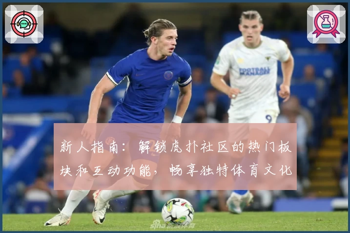 新人指南：解锁虎扑社区的热门板块和互动功能，畅享独特体育文化交流体验