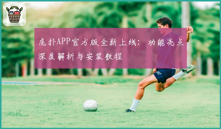 虎扑APP官方版全新上线：功能亮点深度解析与安装教程