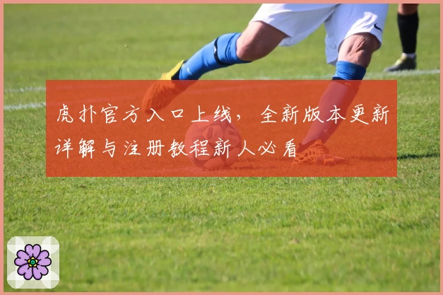 虎扑官方入口上线，全新版本更新详解与注册教程新人必看