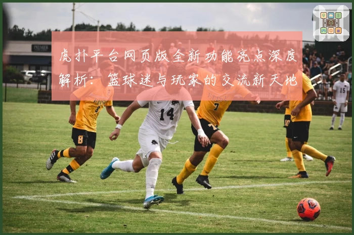 虎扑平台网页版全新功能亮点深度解析：篮球迷与玩家的交流新天地
