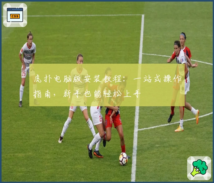 虎扑电脑版安装教程：一站式操作指南，新手也能轻松上手